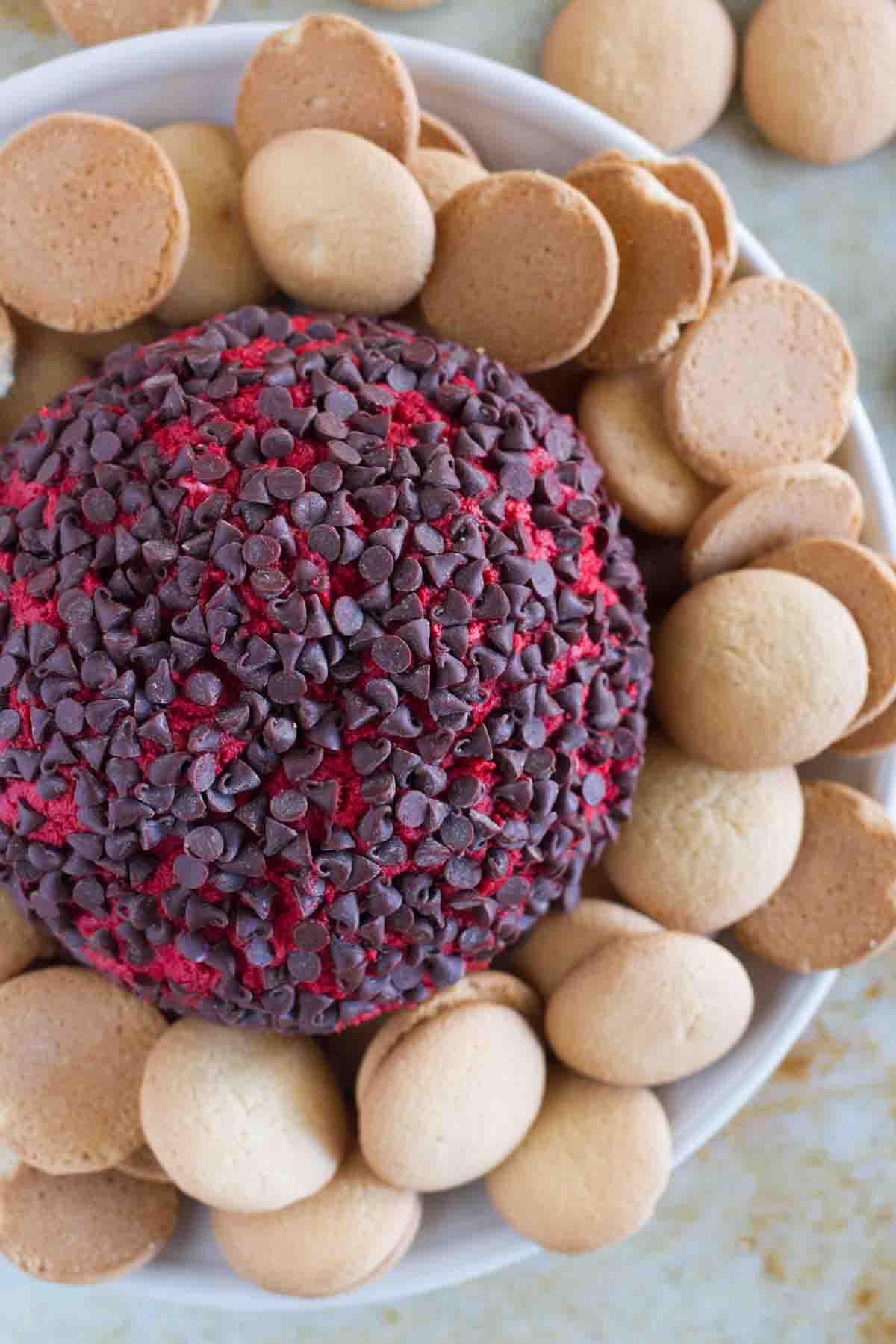 Red Velvet Cheese Ball surrounded by vanilla wafer cookies