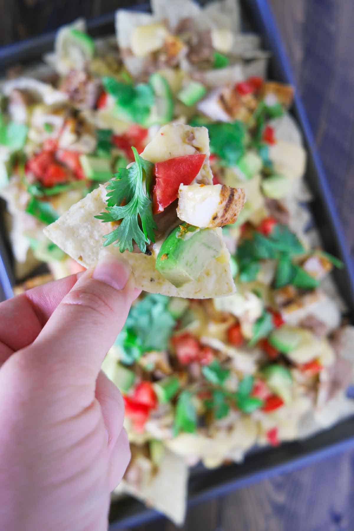 Grilled chicken nachos with a homemade cheese sauce