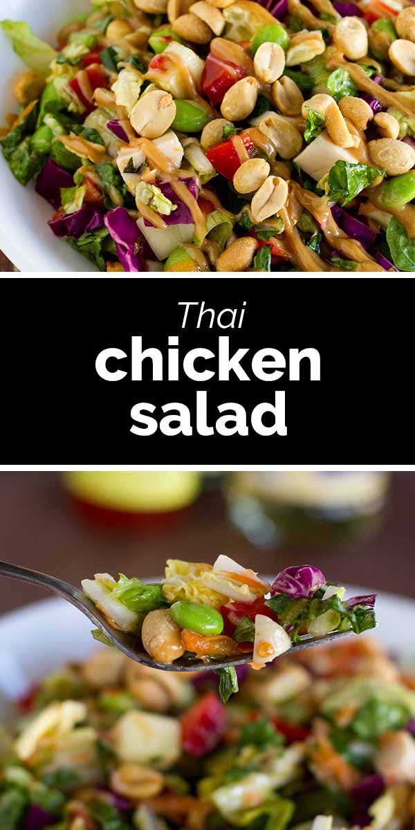 Thai Chicken Salad - Taste and Tell