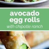 Avocado Egg Rolls Collage with text bar in the middle