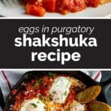 Shakshuka Recipe collage with text bar in the middle
