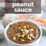 Peanut Sauce with text overlay