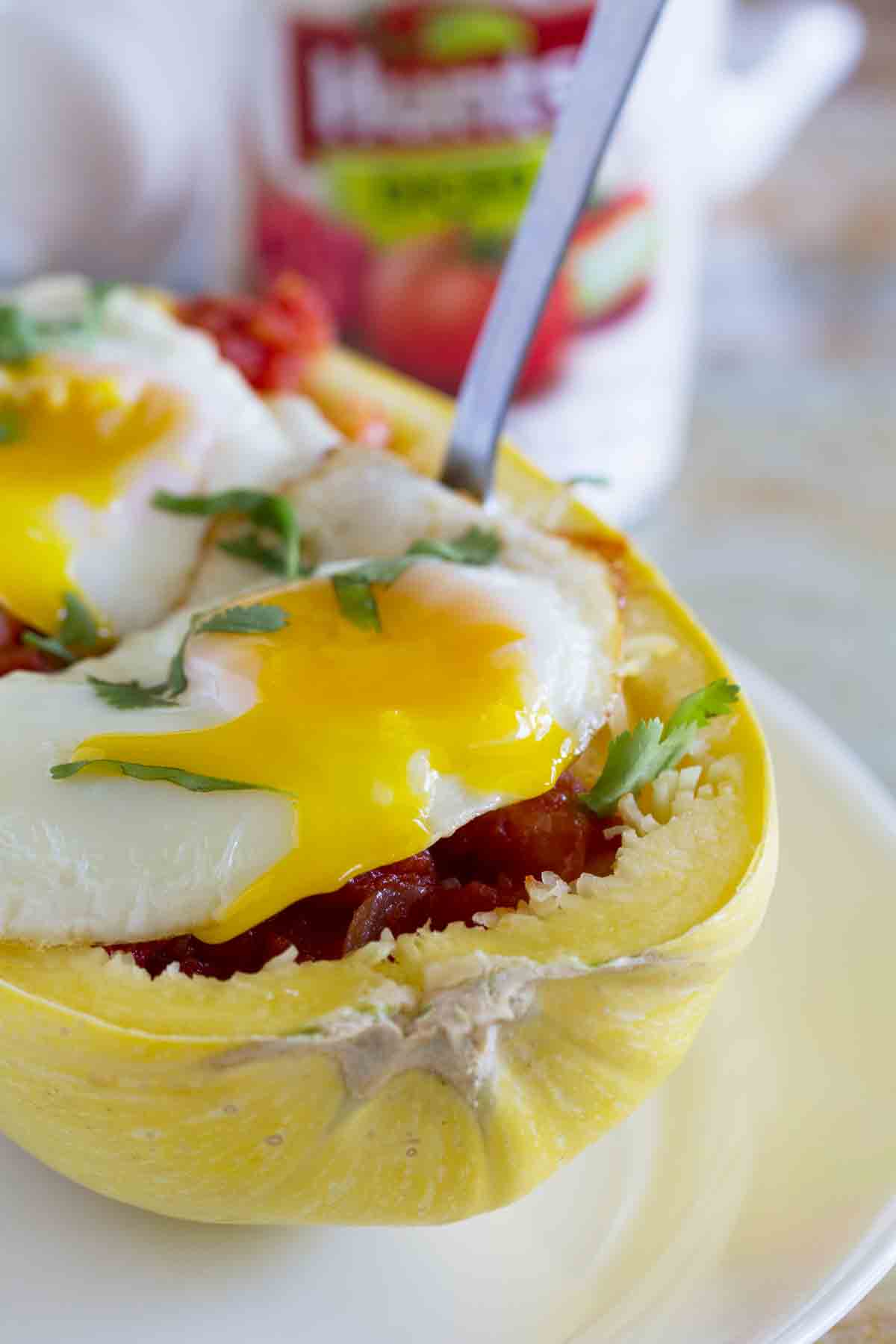 Fried egg over spaghetti squash with an easy tomato sauce.