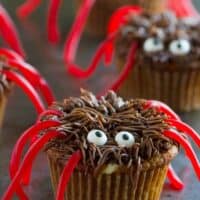 Pumpkin Cheesecake Spider Cookies on a surface.