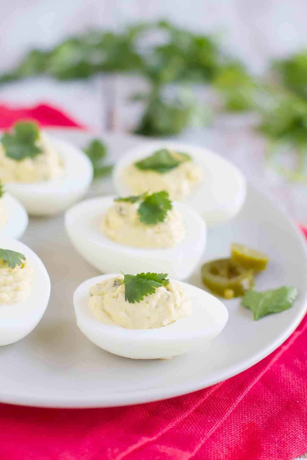 Want a little spice to your deviled eggs? These Spicy Deviled Eggs use pickled jalapeños to bring the perfect amount of heat to this popular appetizer. Spicy Deviled Eggs topped with cilantro on a plate.