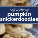Pumpkin Snickerdoodles collage with text bar in the middle.