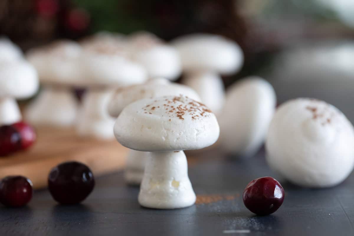 Meringue mushrooms dusted with cocoa powder surrounded by fresh cranberries.