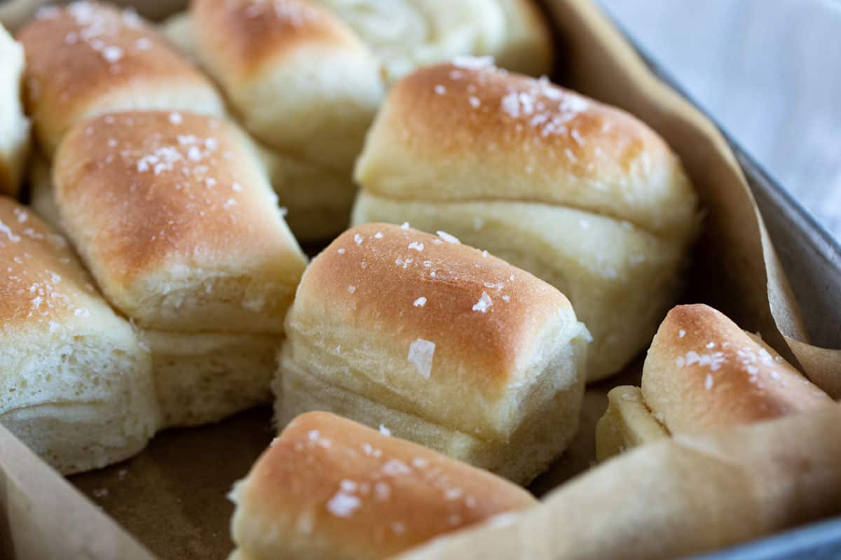 Parker House Rolls in a baking pan lined with parchment paper.