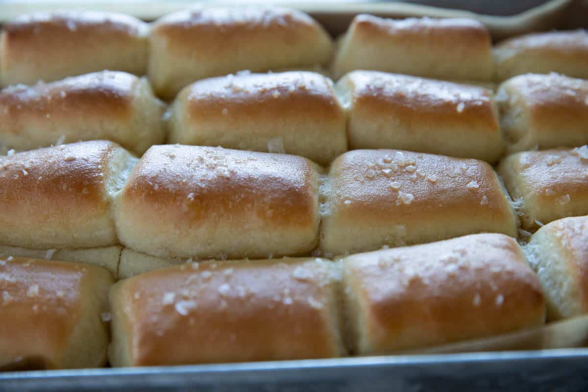 Pan full of Parker House Rolls in rows.