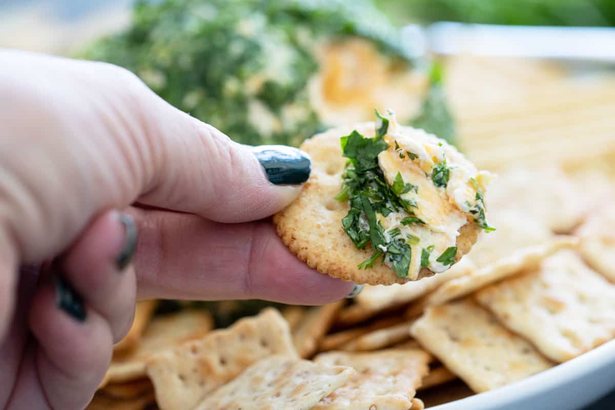 Tex-Mex Cheese Ball