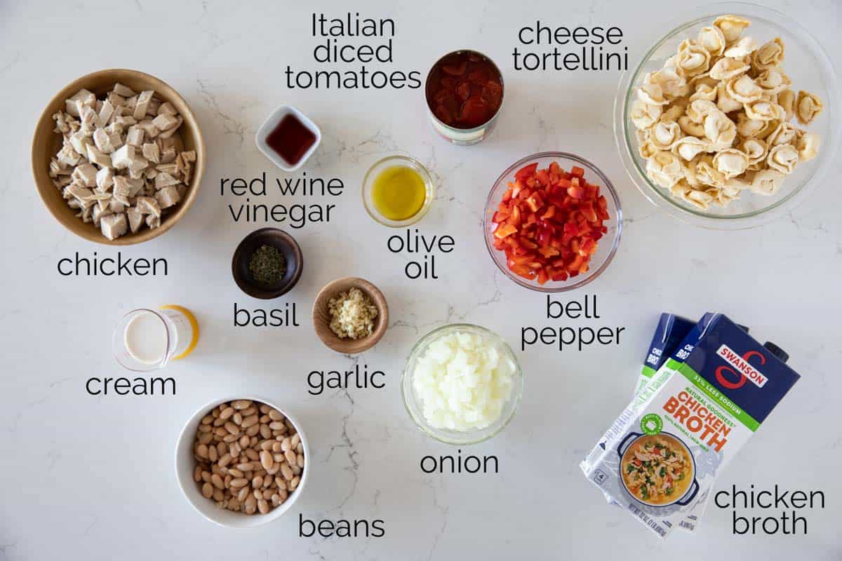 Ingredients to make Chicken Tortellini Soup.