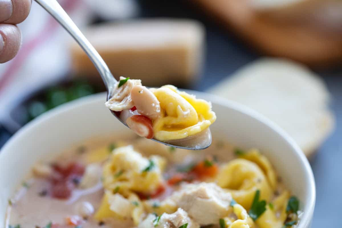 Spoonful of chicken tortellini soup.