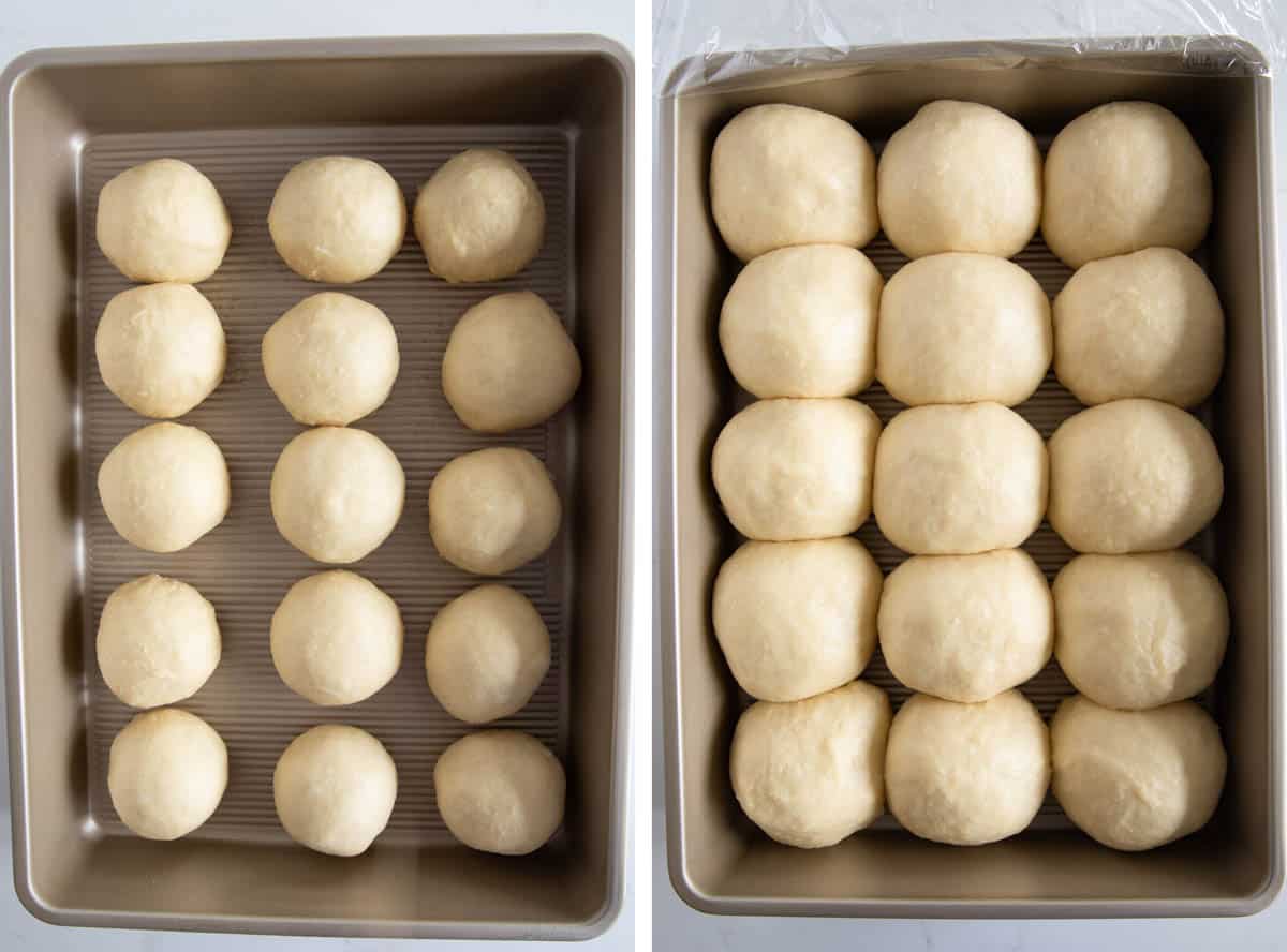 Potato rolls rising in a pan.