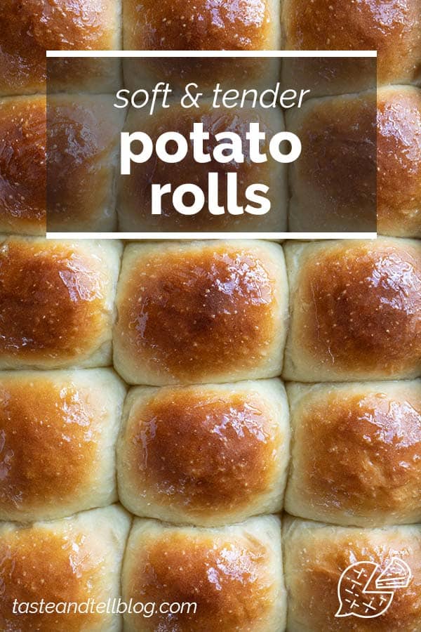 Potato Rolls - Taste and Tell