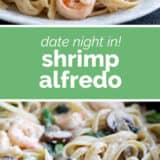 Shrimp Alfredo collage with text bar in the middle.