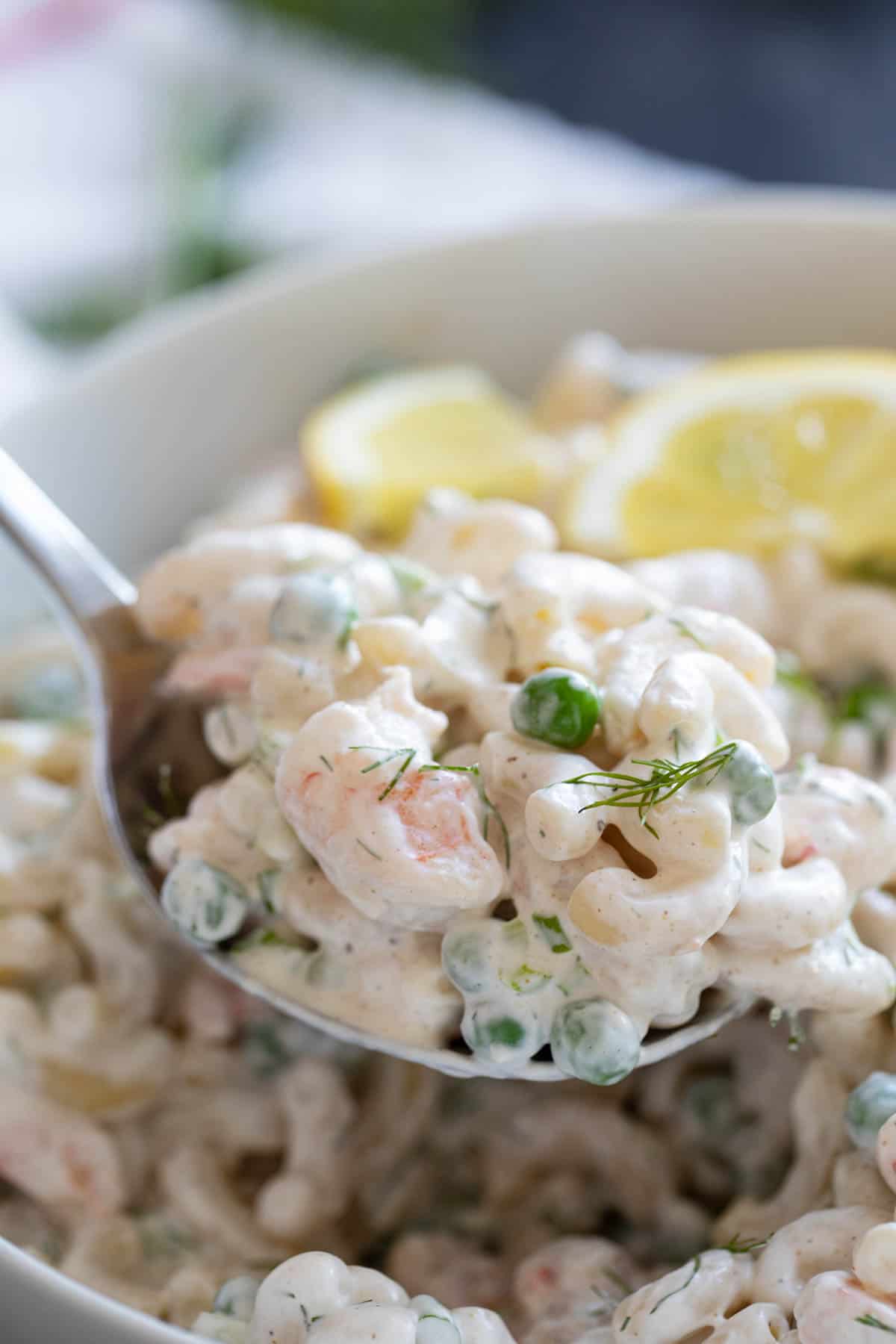 Serving spoon full of shrimp pasta salad.