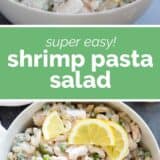 Shrimp Pasta Salad collage with text bar in the middle.