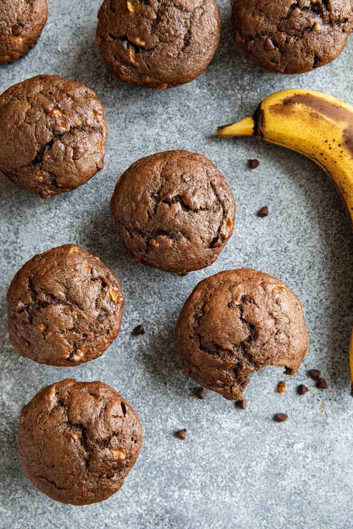 Chocolate banana muffins with a bite taken from one muffin.