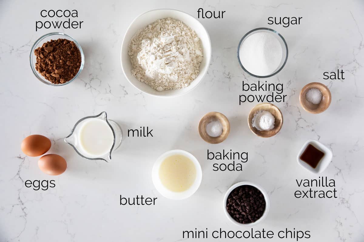 Ingredients to make Chocolate Waffles.
