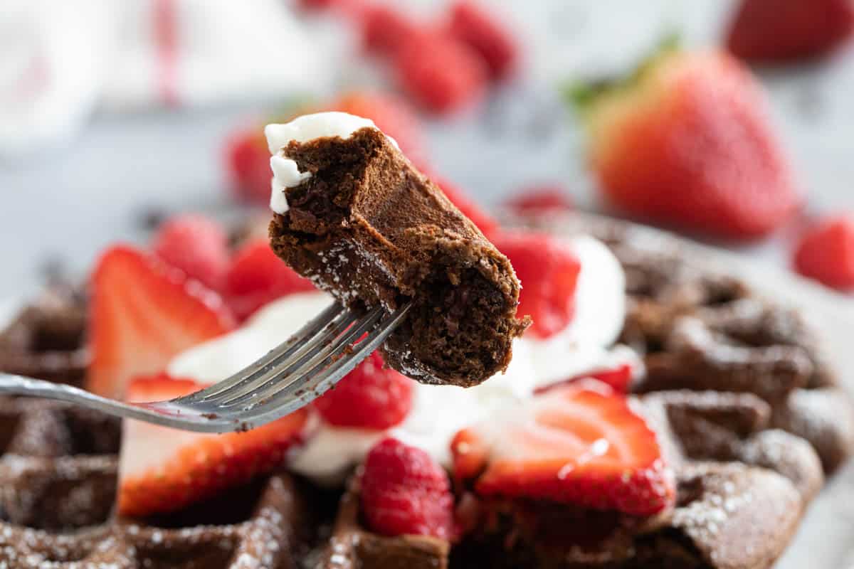 Bite of chocolate waffle on a fork to show the texture.