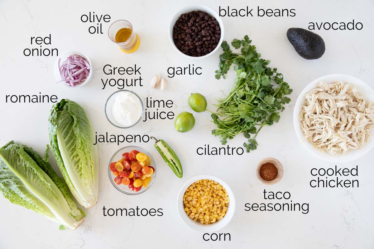 Ingredients to make Southwest Chicken Salad.