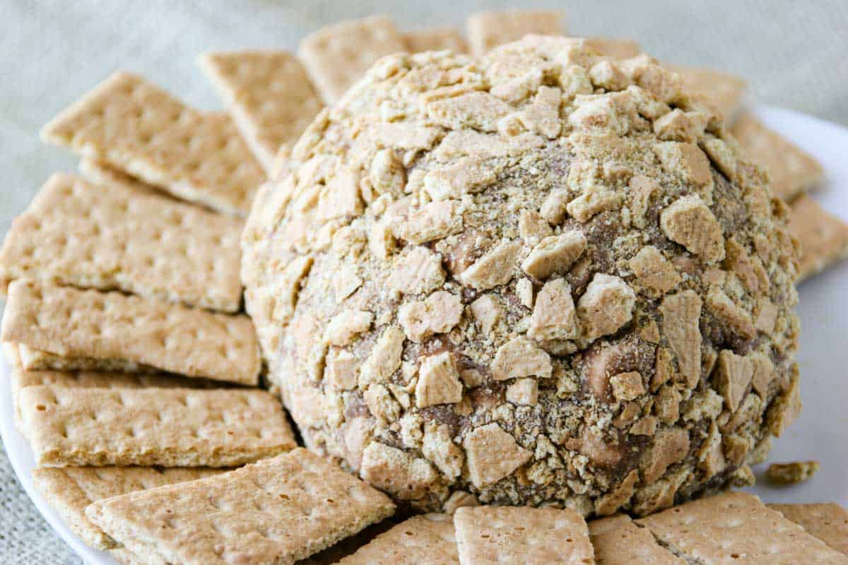 S'mores cheese ball on a plate surrounded by graham crackers.