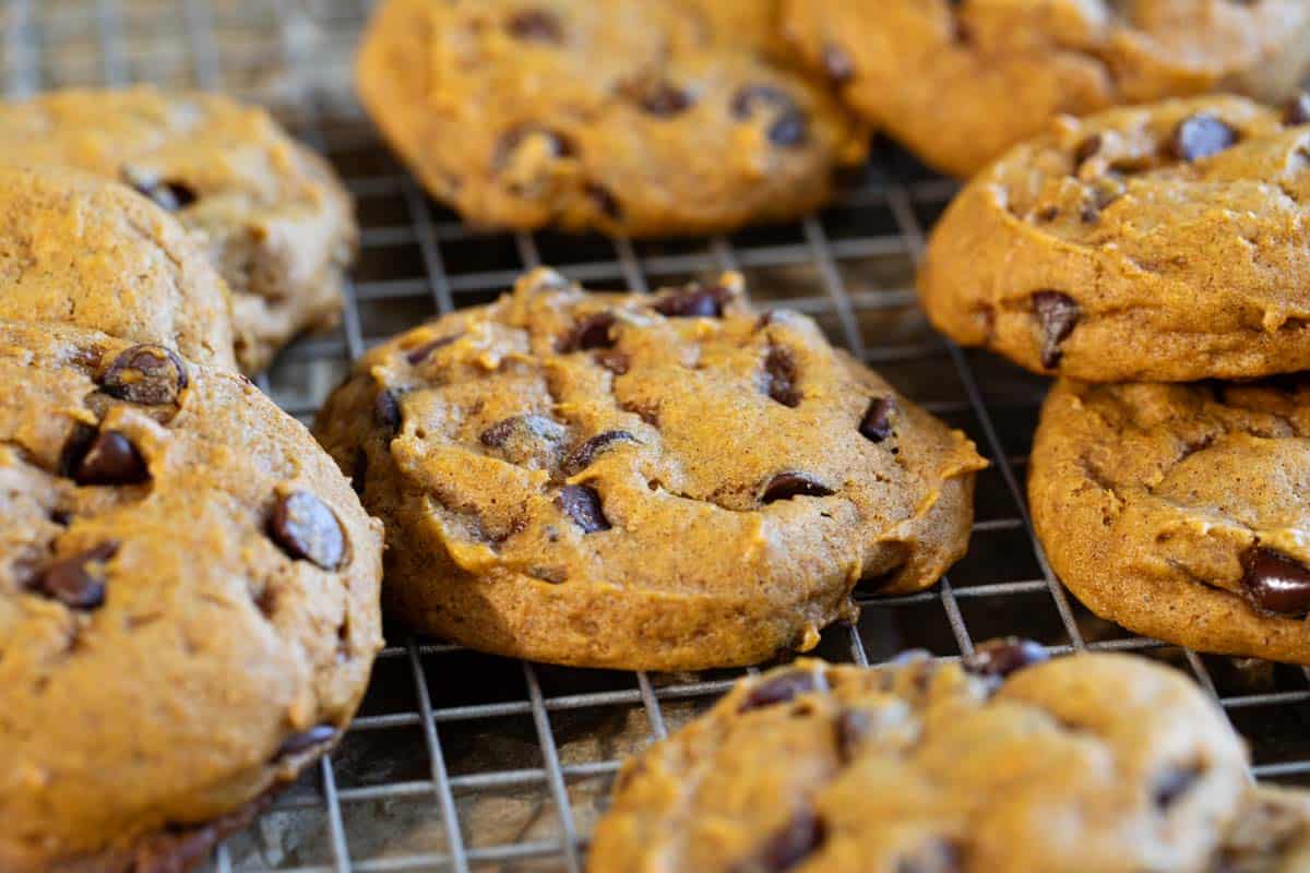 Pumpkin chocolate chip cookies cooling on a cooling rack.