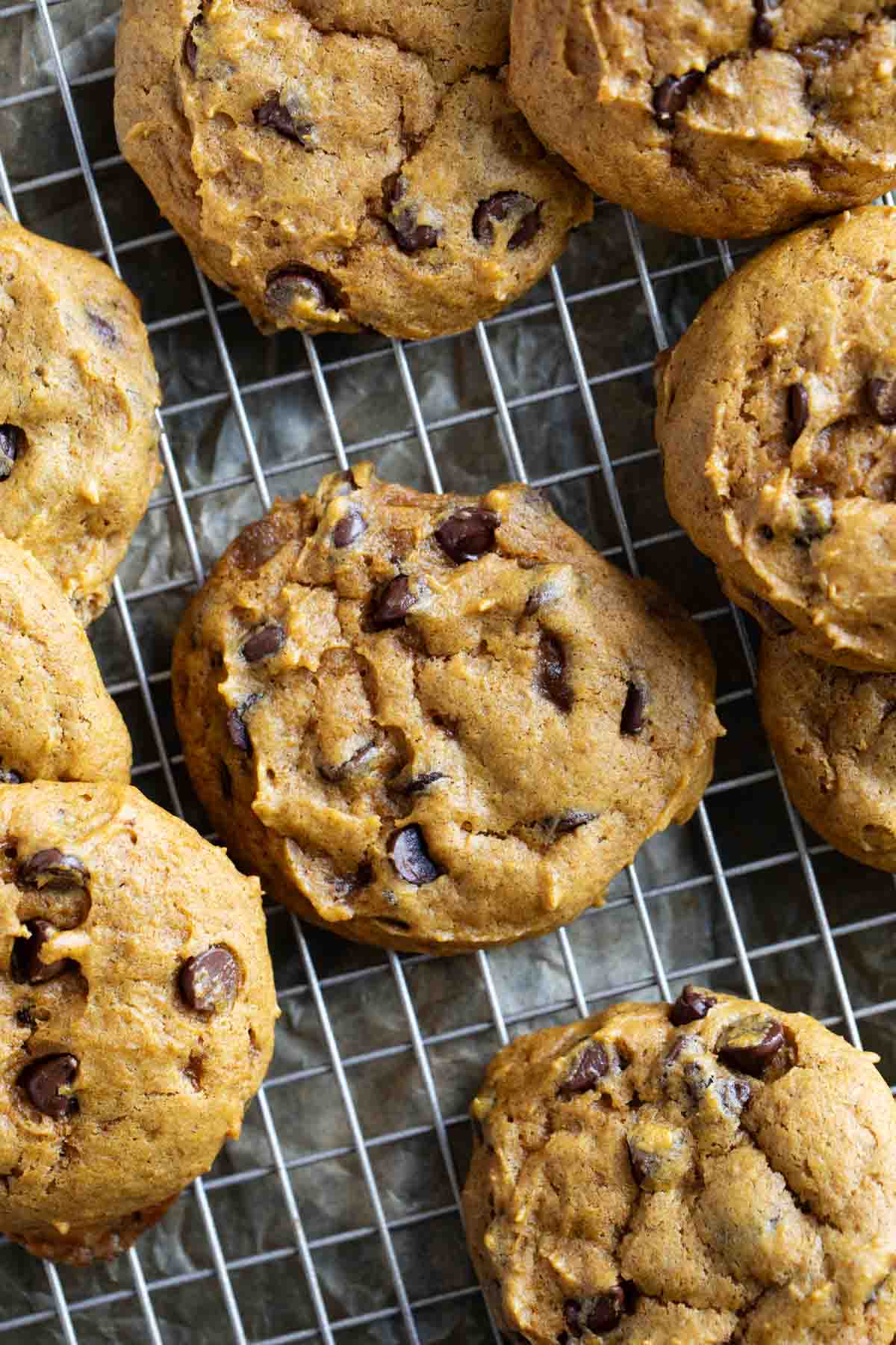 Pumpkin Chocolate Chip Cookies stacked on a cooling rack.