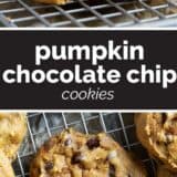 Pumpkin chocolate chip cookies collage with text bar in the middle.