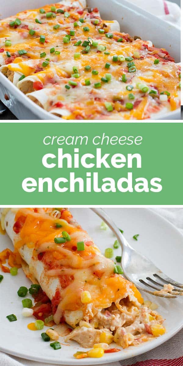 Cream Cheese Chicken Enchiladas Taste and Tell