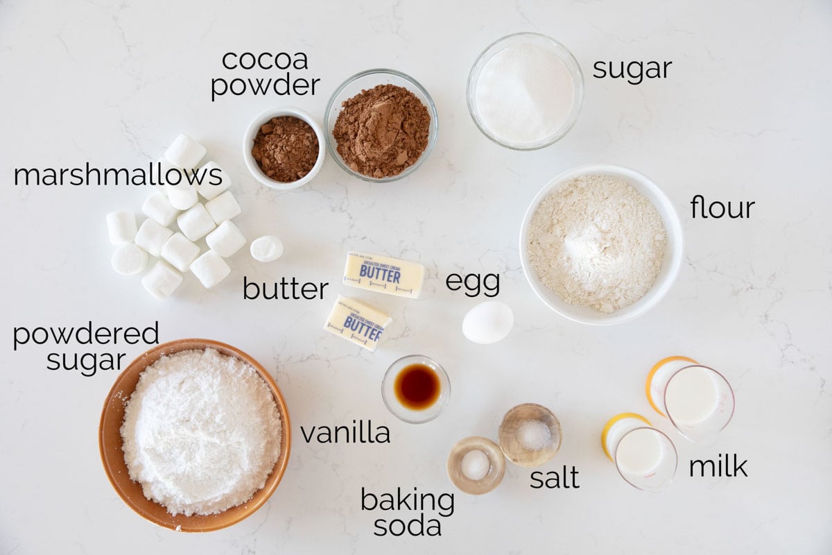 Ingredients to make chocolate marshmallow cookies.