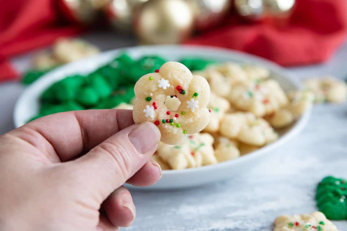 Hand holding a single spritz cookie.