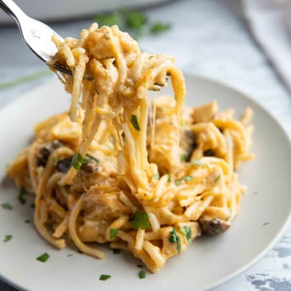 Chicken tetrazzini on a plate with a fork taking a bite.