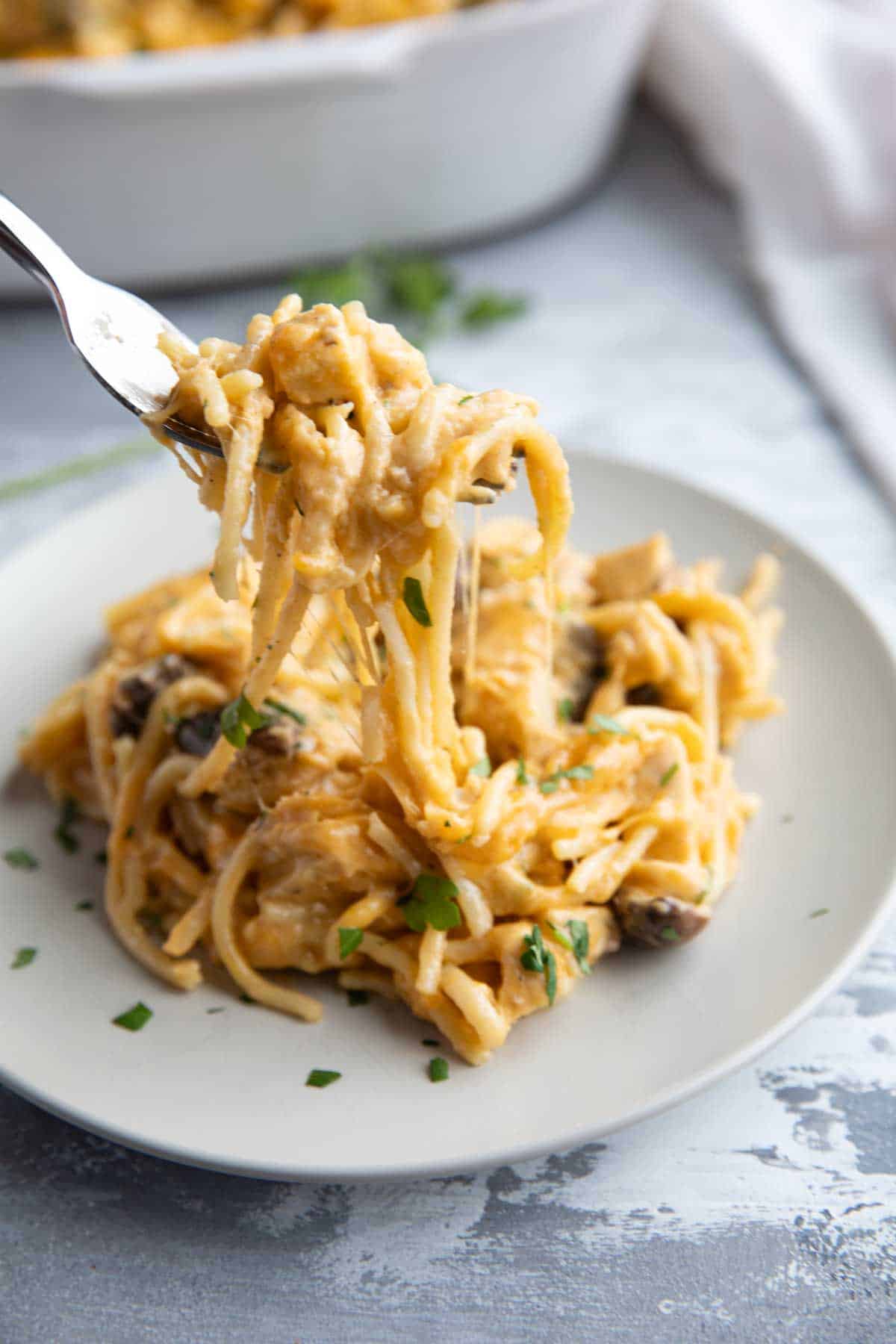 Chicken tetrazzini on a plate with a fork taking a bite.