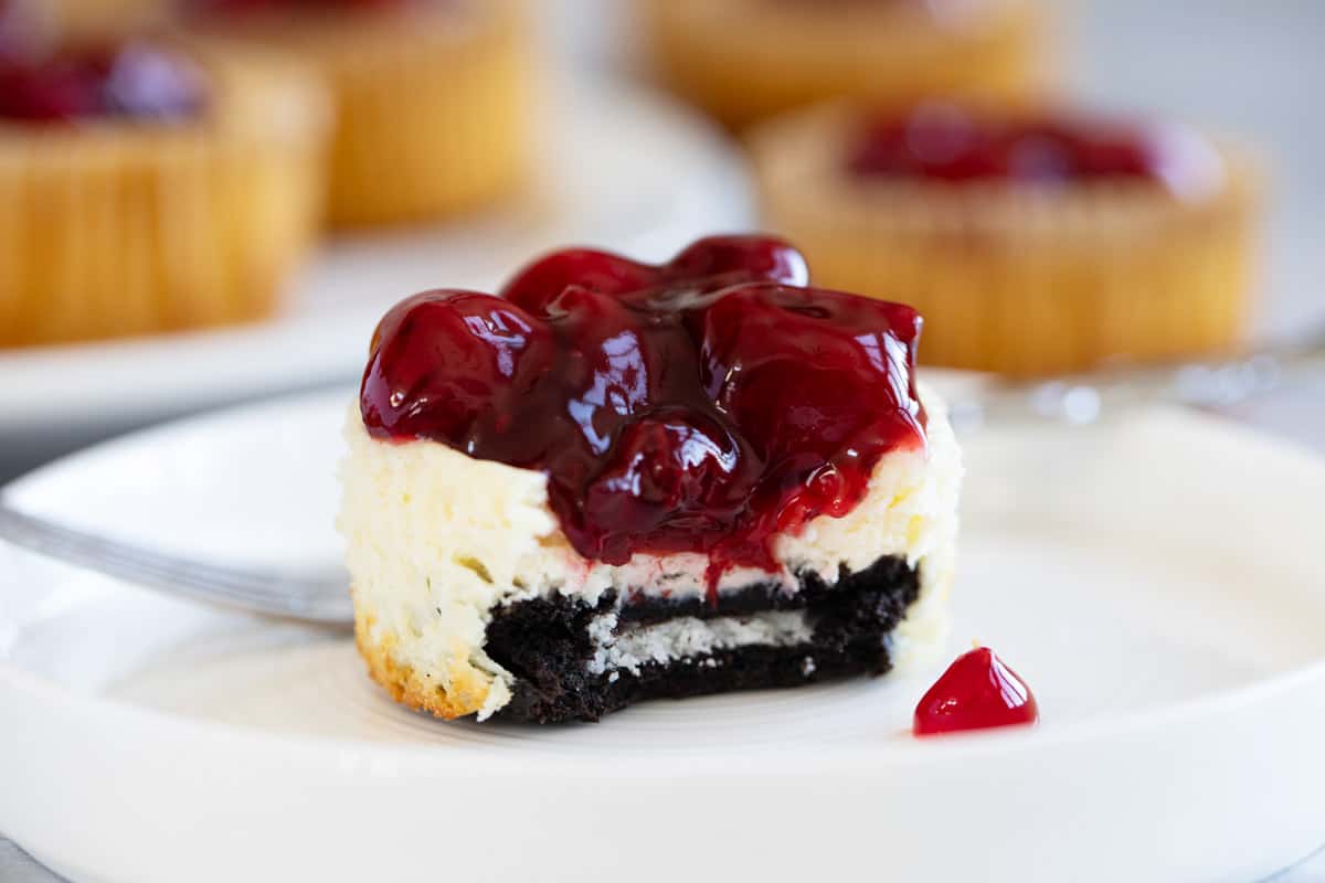 Mini cheesecakes with a cookie crust and topped with cherry pie filling.