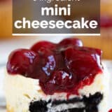 Mini Cheesecakes with text overlay.