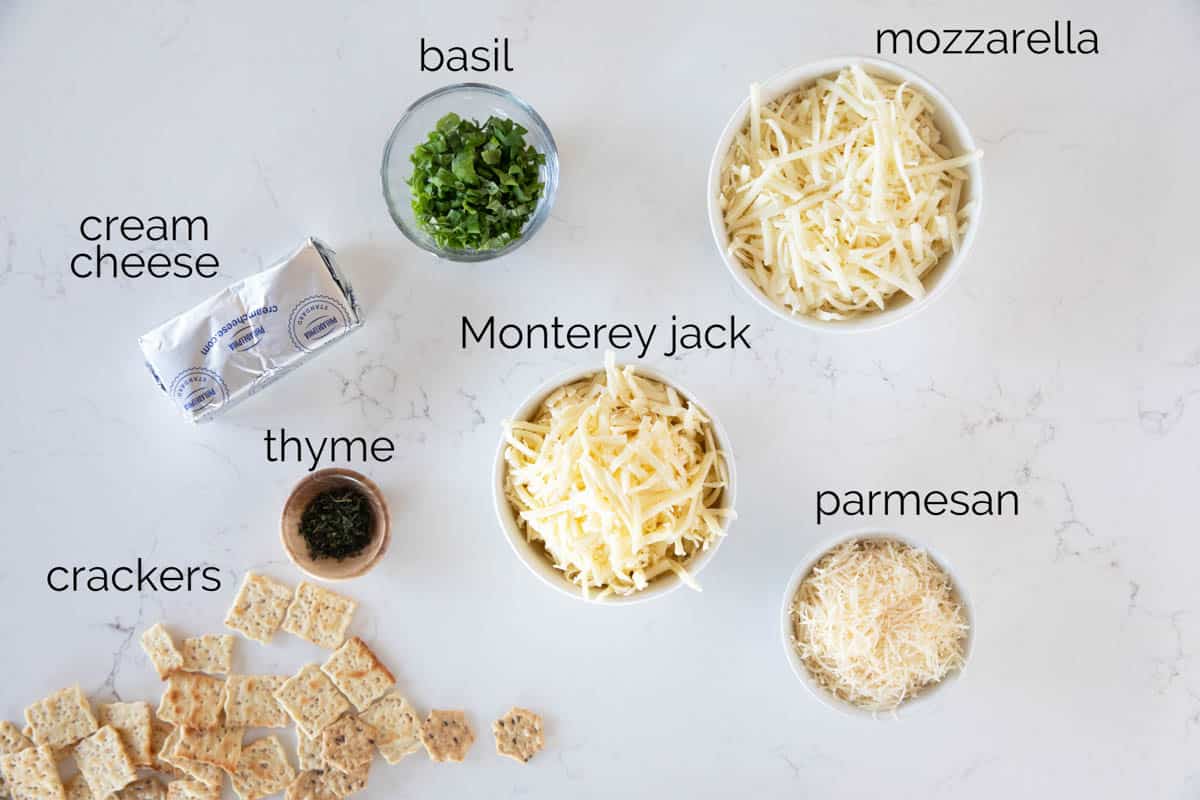 Ingredients to make white cheese dip.