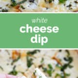 White Cheese Dip college with text bar in the middle.