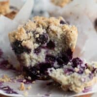 Blueberry muffin torn in half to show interior texture of the muffin.