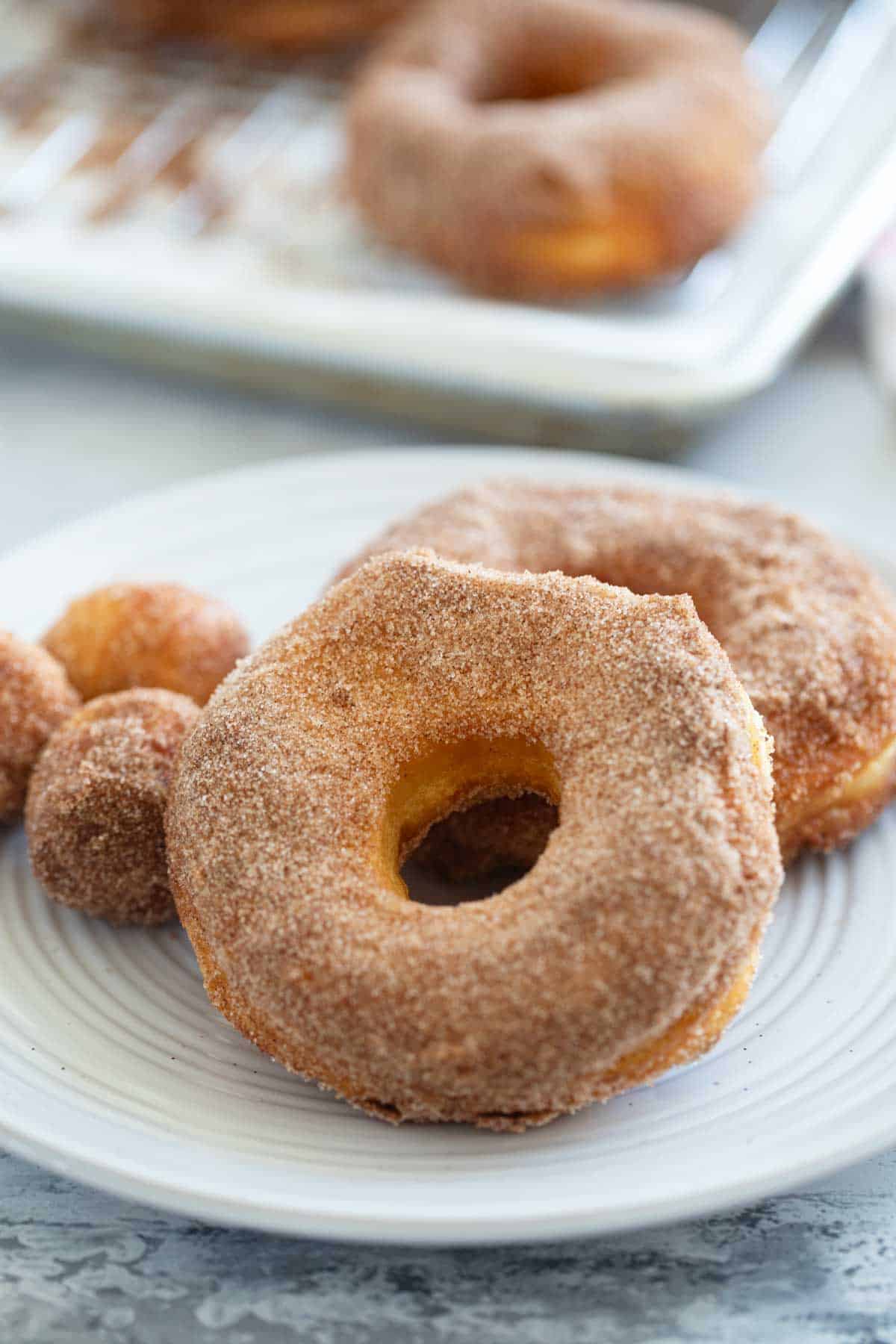 Biscuit donut and donut holes covered in cinnamon sugar.