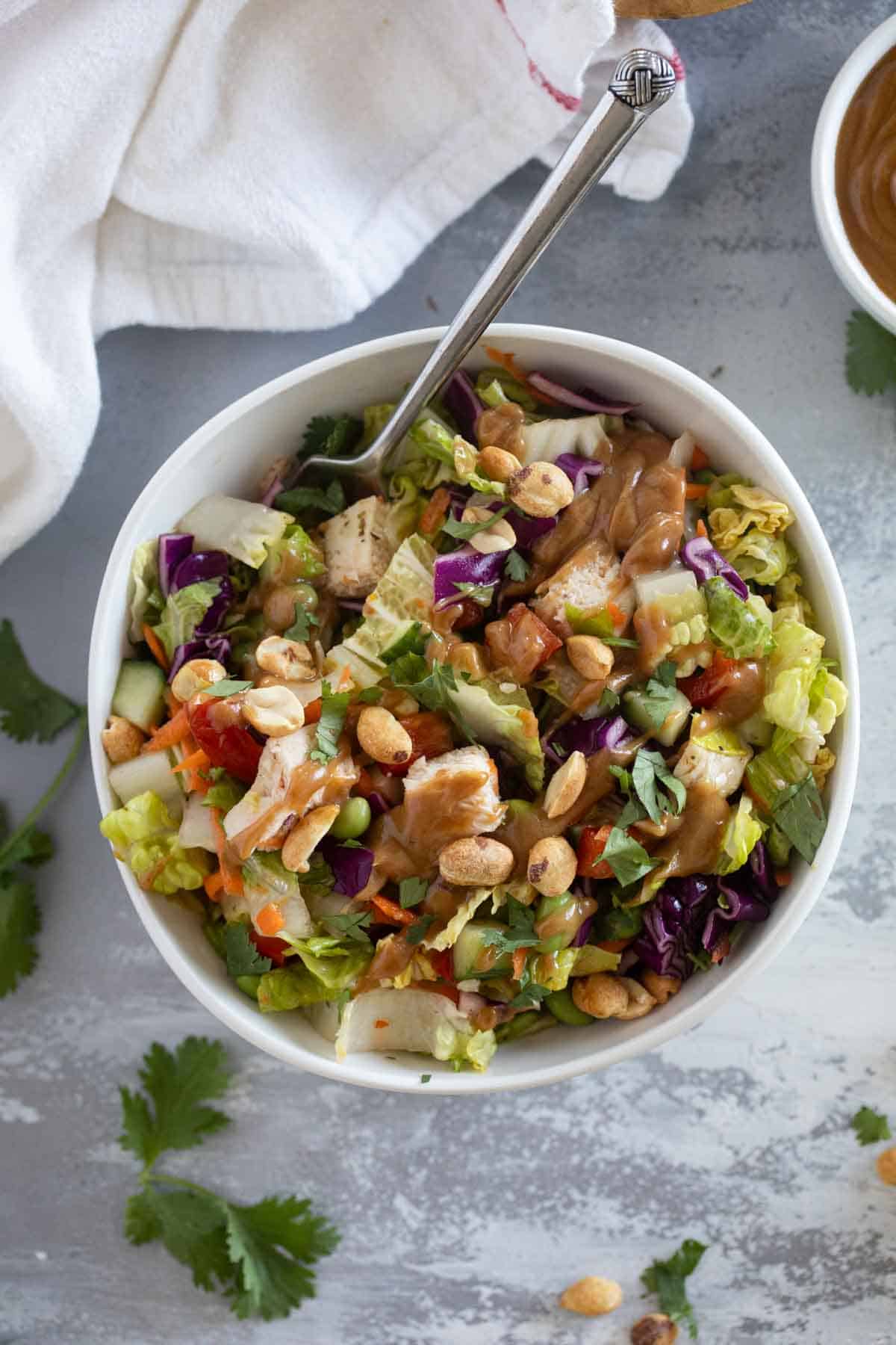 Bowl filled with Thai Chicken Salad topped with peanut sauce.