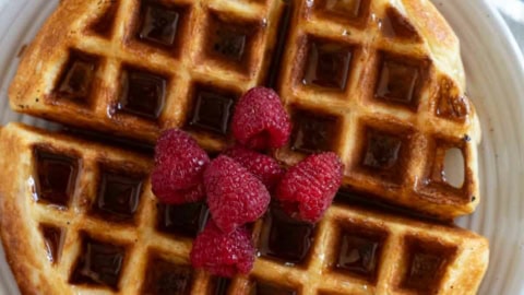 Belgian Waffle Recipe