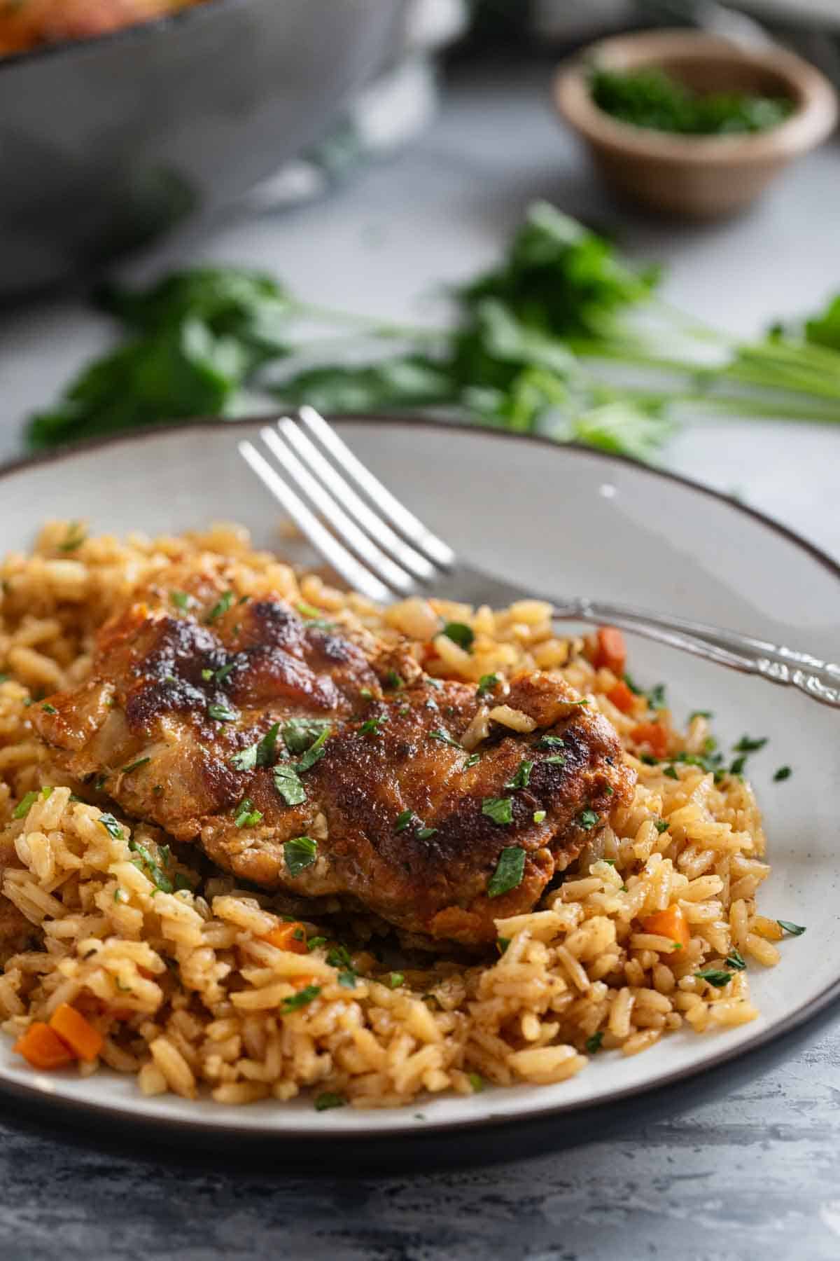 Plate with chicken thigh on top of rice with carrots.