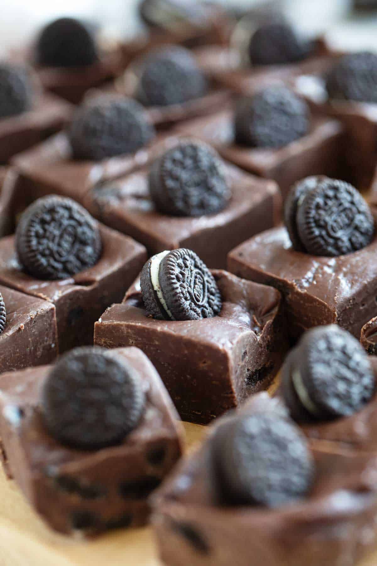 Squares of Oreo Fudge topped with mini Oreo cookies.