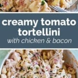 Creamy Tomato Tortellini with Chicken and Bacon collage with text bar in the middle.