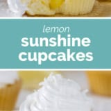 Lemon Sunshine Cupcakes collage with text bar in the middle.