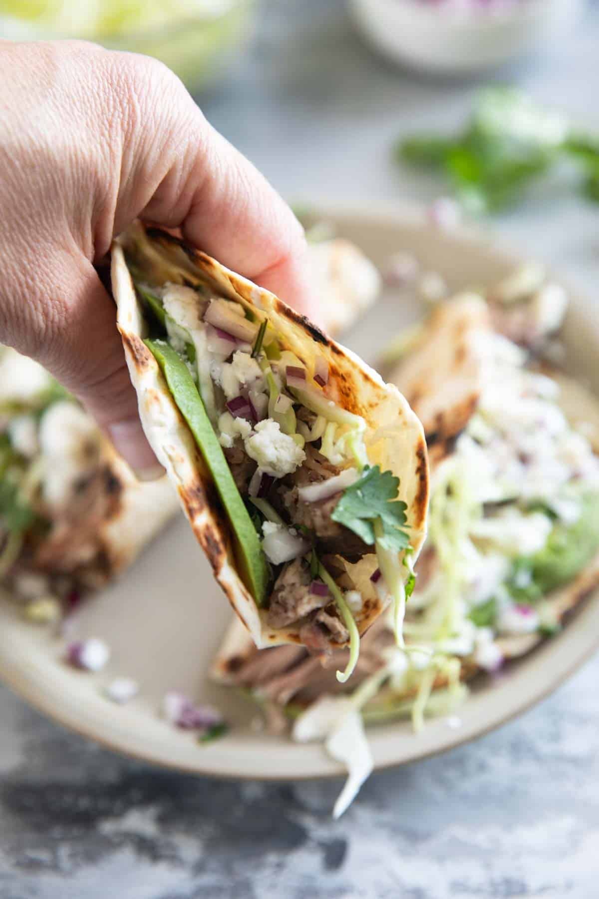 Hand holding a shredded pork taco on flour tortilla.