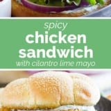 Spicy Chicken Sandwich with Cilantro Lime Mayo collage with text bar in the middle.