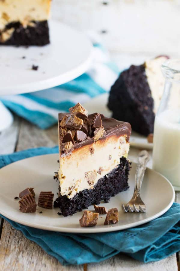Slice of Peanut Butter Cup Ice Cream Cake with dark chocolate cake, peanut butter ice cream, and chocolate ganache.