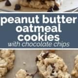 Peanut Butter Oatmeal Cookies with Chocolate Chips collage with text bar in the middle.